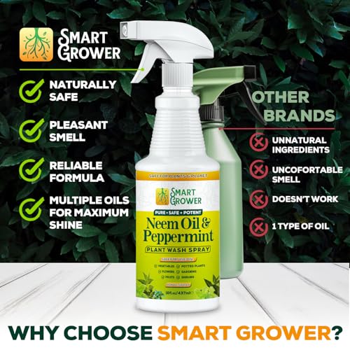 Neem Oil Spray for Plants with Peppermint Oil. Indoor & Outdoor Plant Use - size: 16 Fl Oz