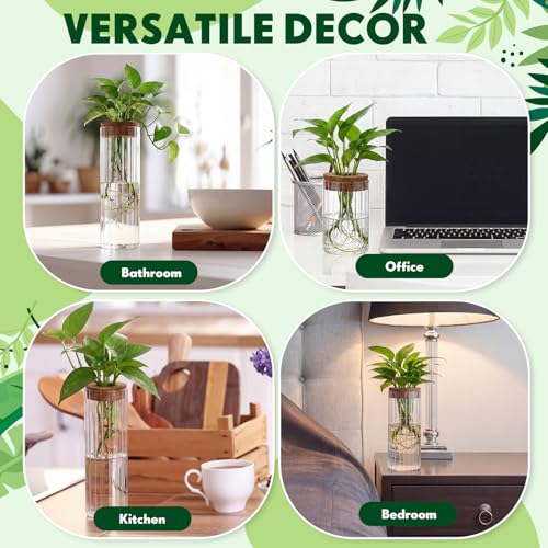 6 Sets Glass Plant Propagation Vases Cork Lid, 3 Size Desktop