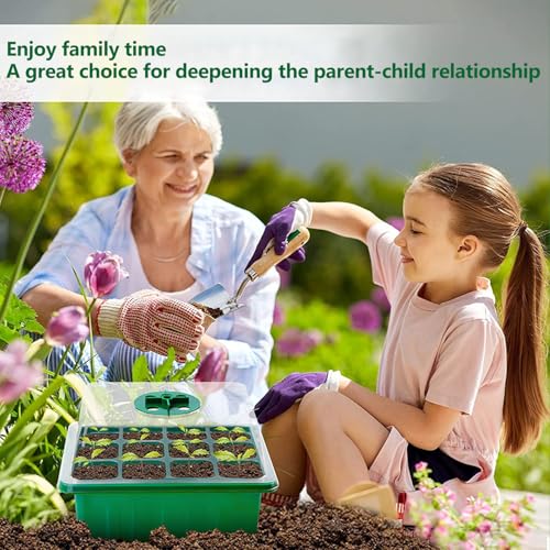 6-Pack Seed Starter Tray Kit with Grow Light