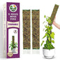 DUSPRO 2 Pack 16.5" D-Shaped Plastic Stackable Moss Poles - color: Plastic D shaped
