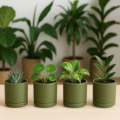 D'vine Dev 4-Pack Ceramic Pots with Saucers, Olive, 3.5 in, 94-X-A-0 - color: Olive, size: 3.5 Inch