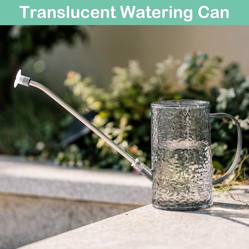 Long Spout Watering Can Indoor Plants, Small Watering Cans for House Plants, Flowers, Succulents 34oz - color: Gray