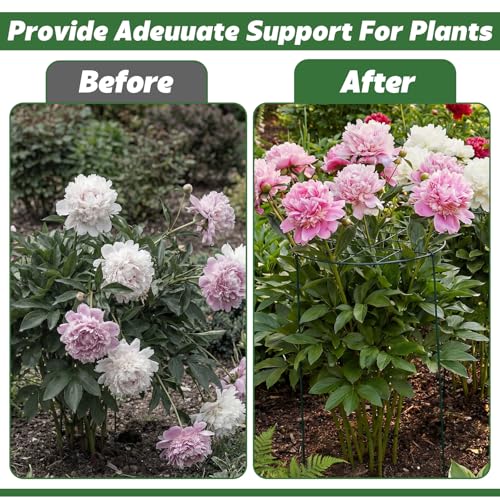 4 Pack Round Peony Cages and Supports, 20 x 30 Inches (D x H) - size: 20 x 30 Inches