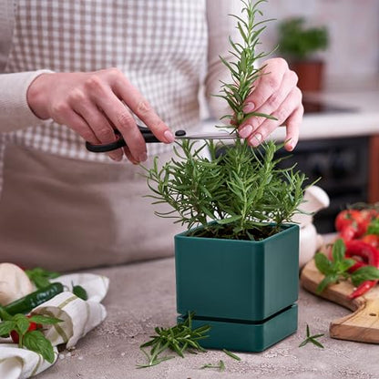 D'vine Dev Plastic Herb Planter Pot, 4 in, Green, 76-Y-C-1 - color: Green, size: 4 Inch x 4.5 Inch