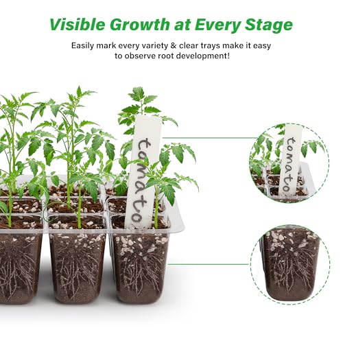 Bonviee 5-Pack Seed Starter Trays, Humidity Dome, Base, 12-Cell Tray, Green - color: Green, size: 5 Packs
