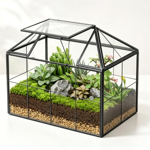 Ferrisland Glass Geometric Plant Terrarium, Clear Glass Succulent - size: 9.1" L x 5.4" W x 7.3" H