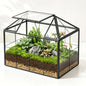 Ferrisland Glass Geometric Plant Terrarium, Clear Glass Succulent - size: 9.1" L x 5.4" W x 7.3" H