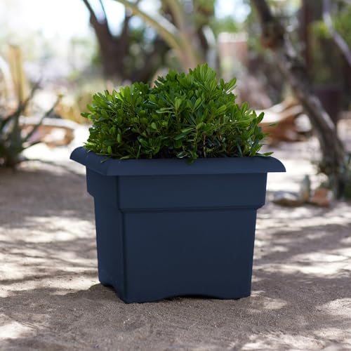 Bloem Veranda 14" Plastic Square Planter Box, Navy, 2-Pack - color: Navy, size: 14" (Pack of 2)