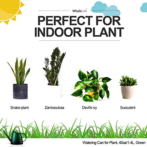 WhaleLife Small Indoor Plant Watering Can - 1.4L Dark Green Long Spout - color: Green