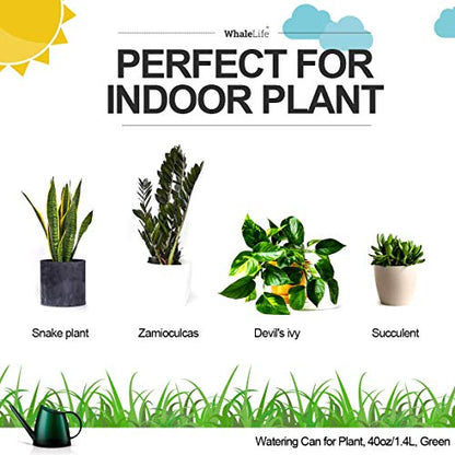 WhaleLife Small Indoor Plant Watering Can - 1.4L Dark Green Long Spout - color: Green