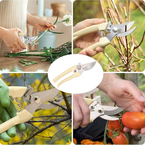Premium Branch Pruning Shears, Stainless Steel Blade Drop Forged Body and Handle, Ultra Fine Polished Gardening Shears for Tree Trimming Shaping Deadheading