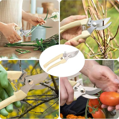 Premium Branch Pruning Shears, Stainless Steel Blade Drop Forged Body and Handle, Ultra Fine Polished Gardening Shears for Tree Trimming Shaping Deadheading
