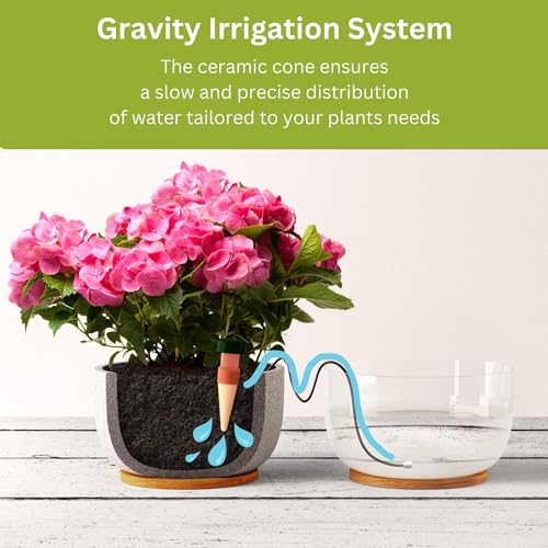 Blumat Classic Self-Watering Stakes - Prevents Overwatering and Underwatering for Healthy Growth While You are Away - Ideal for Indoor Plant Watering, 15 Pack, wo Adapter - size: 15 Pack without Adapter