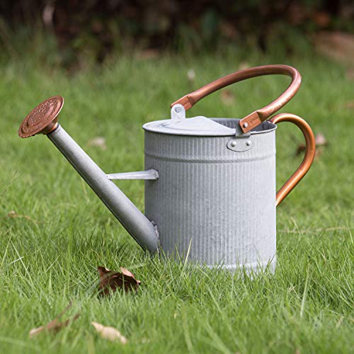 1 Gallon Watering Can, Metal Watering Can with Removable Spout, Farmhouse Galvanzied Water Can, Nice Plant Water Can for Indoor Use and for Outdoor Use - color: Zinc, size: 1 Gallon