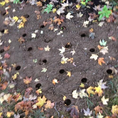 Edward Tools Bulb Planter - Bend Free Tool for Planting Bulbs, Depth Marker for More consistent Planting Tulips, Daffodils, Dahlias (Assorted)