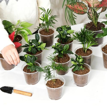 JNYONG 120 Pack 4 Inch Clear Nursery Pots with Drainage Hole - size: 4 Inch 120 pack