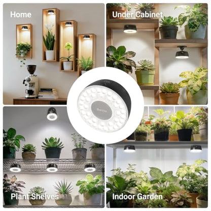 Barrina OG03C Rechargeable Puck Grow Light, 5200mAh, 5000K, 1 Pack, Black - color: Black, size: 1 Pack