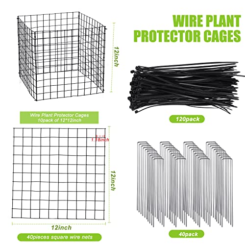 Zubebe 10 Pack Small Wire Plant Protectors Mesh, Thickness 2mm, Black - color: Black, size: Thickness 1mm