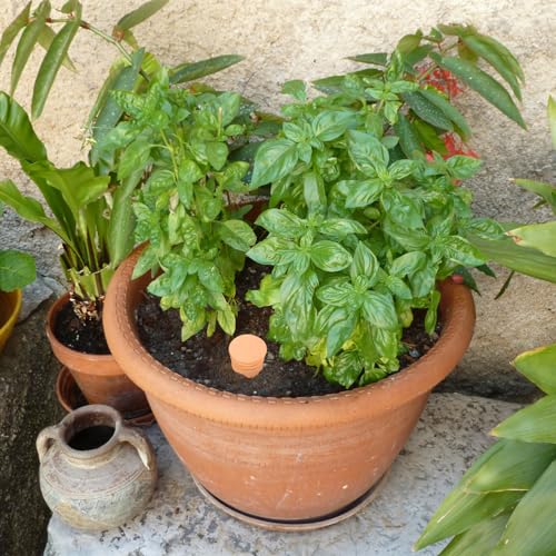 3pcs Terracotta Plant Watering Globes 3.5 * 10inch Terracotta Watering Pots Self Watering Planter 900ml for Indoor Outdoor Plants Clay Plant Watering Globes Planter Insert Watering Pots - style: Ｇ