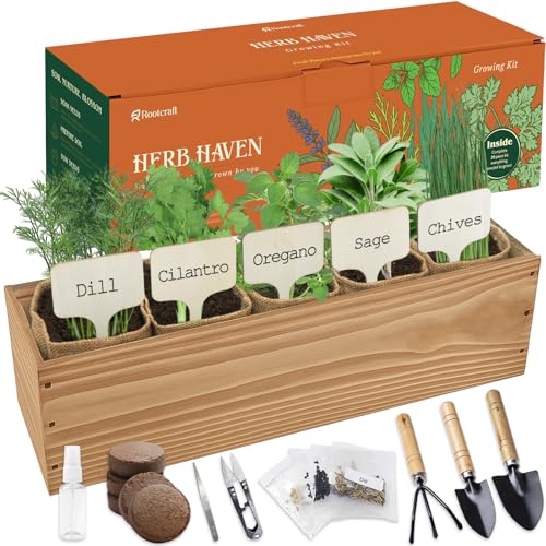 5 Herb Garden Planter Indoor with Wooden Box, Home Kitchen Seed Starter Kit Including Dill, Cilantro, Oregano, Sage, Chives, Birthday, Mothers Day, House Warming, Gardening Gifts for Women, Mom - color: B-Herb