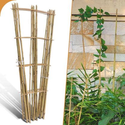 10 Pack 4ft Bamboo Trellis for Climbing Plants, Fan-Shaped Garden Support - size: 4 FT