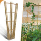 10 Pack 4ft Bamboo Trellis for Climbing Plants, Fan-Shaped Garden Support - size: 4 FT