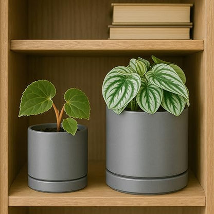 D'vine Dev 2-Pack Ceramic Pots & Saucers, Grey, 3.5/4.7 in, 94-G-XS-3 - color: Gray, size: X-Small