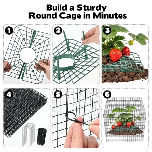 6 Set Upgraded Strawberry Protection Supports with Wire Plant Protectors from Animal Sturdy Metal Wire Plant Cages Mesh Plant Cover Strawberry Growing Racks Planting Stand for Garden,12 Inch Square