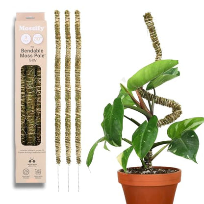 Mossify Bendable Moss Pole, 3 Pack, 30'', Natural Forest Moss - size: 30 Inches