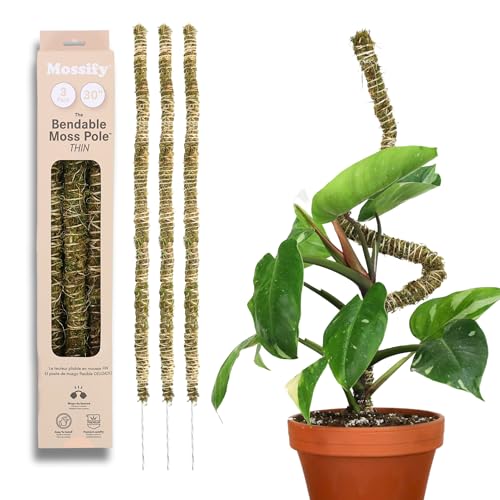 Mossify Bendable Moss Pole, 3 Pack, 30'', Natural Forest Moss - size: 30 Inches
