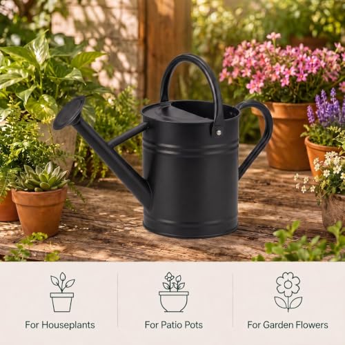 1 Gallon Metal Watering Can for Indoor Outdoor Plants, Classic Black