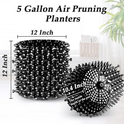 RooTrimmer Air Pruning Planters 5 Gallon 6-Pack, Sturdy Plastic Roots Control Planter Container for Fruit Vegetable Garden Orchard, Size 12"x12",Black - size: 5 Gallon-6P