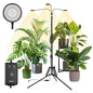 SANSI Grow Light for Indoor Plants, 30W 3-Head Tripod Stand Plant Light - color: Black-3-Head