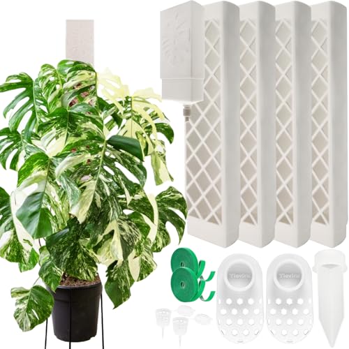 4 Pcs 9 Inch D Shaped Moss Pole with Watering Dripper, Plastic Moss Poles for Climbing Plants, Sturdy Monstera Plant Support, Self Watering Moss Pole Kit for Plants Indoor (1Pack 4Pcs-White) - size: 1Pack 4Pcs-White