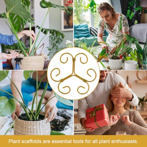 5Pcs Plant Stem Support Iron Monstera Plants Supports - color: Gold