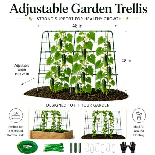 FOLLOOK Cucumber Trellis for Raised Garden Bed, 48x48inch, Green