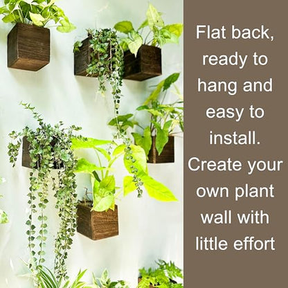 LaLaGreen Wood Planter Boxes for Plants (4x4, 8 Pack) Wooden Wall Planters - size: 4x4" x 8 pack