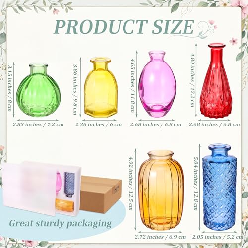 6 Pcs Stained Glass Hanging Propagation Vases, Saturation - color: High Saturation Colorful Series