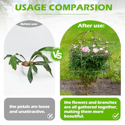 NNG 26 Inch Bird Cage Plant Support, Metal Grow-Through Cage with Dome Top
