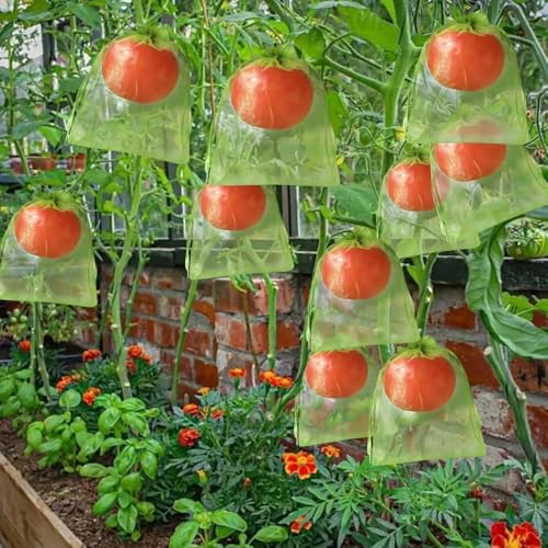 10Pcs Fruit Protection Bags Reusable Insect Proof Green Netting Cover Drawstring Bags Fruit Tree Plants Garden Supplies (Green,20x30cm) - color: Green,20x30cm