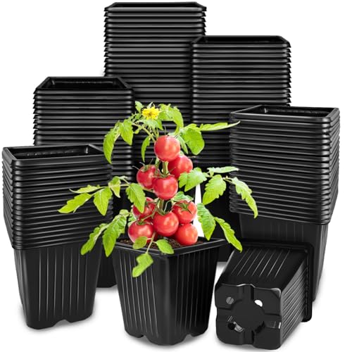 Anyumocz 100Pcs Square Plant Nursery Pots,3.5 Inch Plastic Pots with Drainage Holes,Reusable Seed Starter Pots for Flowers,Vegetables,Garden Planting,Transplanting,Succulents,Cuttings(Black) - color: Black