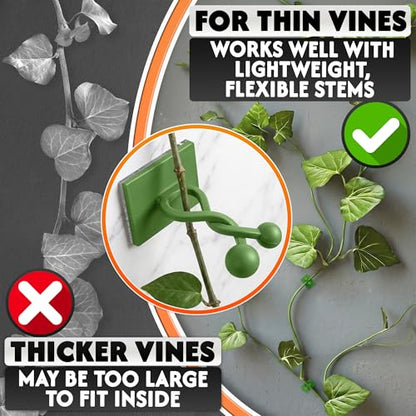 DIMROM Small 100 Pcs Plant Supports for Outdoor Plants and Vines (Green) - color: Small Green 100 Pcs
