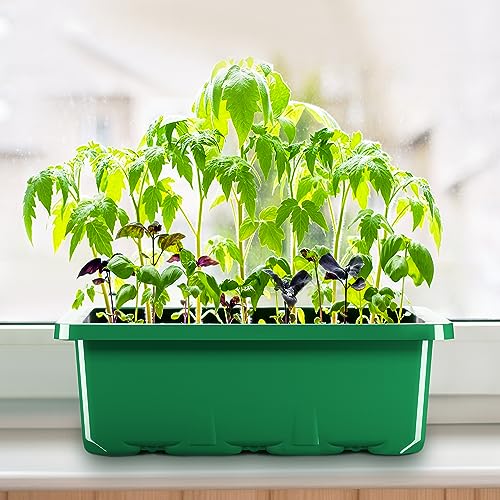 MIXC 10 Pack Seed Starter Tray, 120Cell Stater Kit with Humidity Dome Green - color: Green, size: 12 Cell