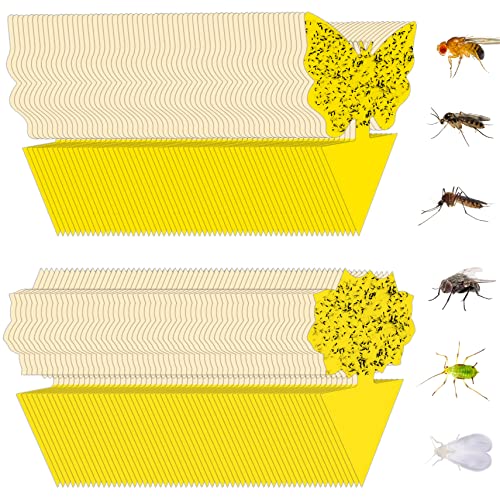 120 Pack Yellow Sticky Fungus Gnat Traps for Indoor & Outdoor Plants - size: 120 Packs