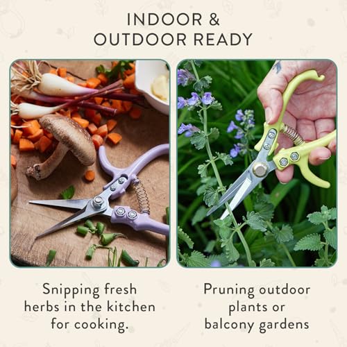 Modern Sprout Pruning Shears - Garden Snips - Herb Scissors - Ocean 1-Pack - color: Ocean