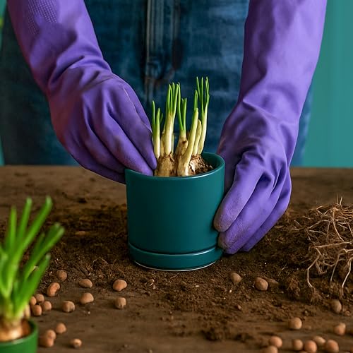 D'vine Dev 4-Pack Ceramic Pots with Saucers, Teal, 3.5 in, 94-X-A-9 - color: Teal, size: 3.5 Inch