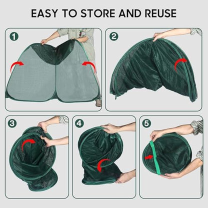 2Pc Pop Up Mesh Plant Cover,35x35x38'' Garden Netting for Insect Protection - color: Green, size: 2 pieces