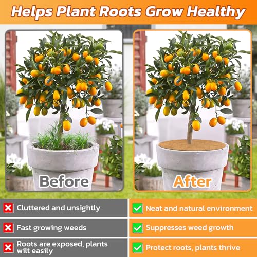 Legigo 4 Pack Coconut Fiber Mulch Ring Tree Plant Protector Mat, 24 Inch - color: 4 Pack, size: 24 Inch