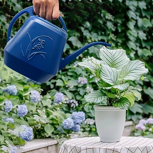 Plant Watering Can - Blue - 1/2 Gallon - color: Blue