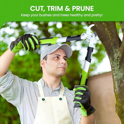 GARDEN GURU Bypass Loppers Tree Trimmer Clipper 3X Cutting Power Gardening Loppers Pruning Shear, Comfort Grip Handles, High Carbon Steel Blade, Heavy Duty Branch Cutter, Cut Thick Branches w Ease (2) - size: 2 Pack, style: Power Bypass Loppers